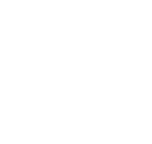 Logo-IRI.webp